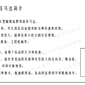 华体会huatihui（中国）侧油口系列马达