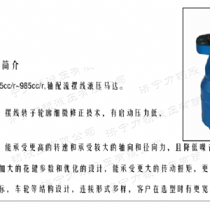 BMH系列交错油口华体会网页版马达
