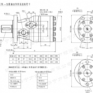 BMH系列交错油口华体会网页版马达